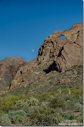Waxing moon Arch Canyon Ajo Mountain Drive Organ Pipe Cactus National Monument Arizona