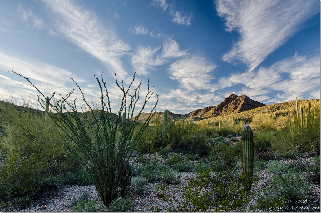 Last light Puerto Blanco Mountains Desert View trail Organ Pipe Cactus National Monument Arizona
