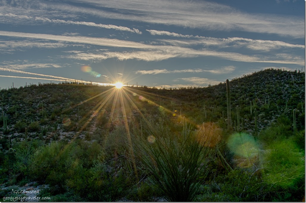 Sunset Desert View trail Organ Pipe Cactus National Monument Arizona