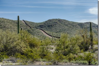Wall South Puerto Blanco Drive East Organ Pipe Cactus National Monument Arizona