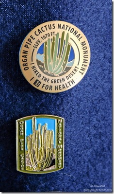 Healthy hiker & Organ Pipe Cactus National Monument pins