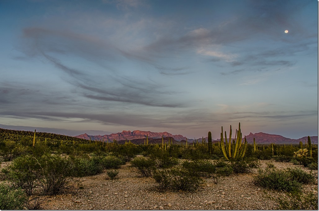 Sunset light Ajo Range & moon Organ Pipe Cactus National Monument Arizona