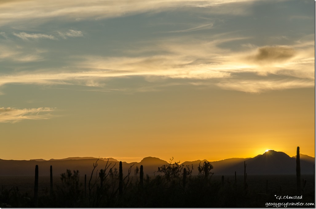 Sunrise Organ Pipe Cactus National Monument Arizona