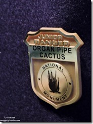Junior Ranger badge Organ Pipe Cactus National Monument Arizona