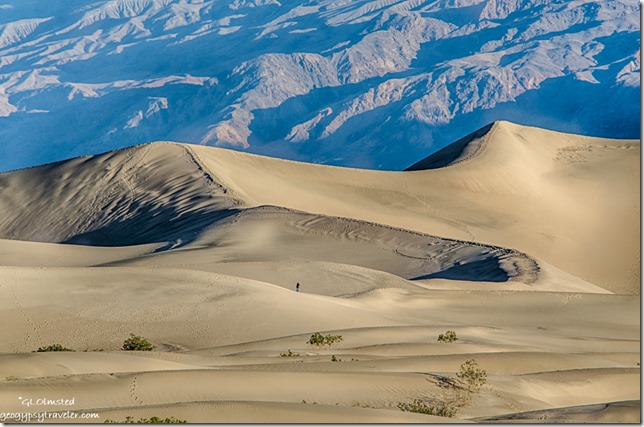 Mesquite Flat sand dunes Death Valley National Park California