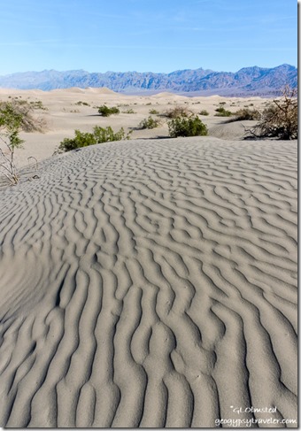 Mesquite Flat sand dunes Death Valley National Park California