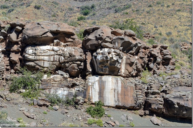 Dassie poop on rocks Karoo National Park South Africa