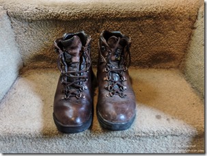 1 polished boot North Rim Grand Canyon National Park Arizona