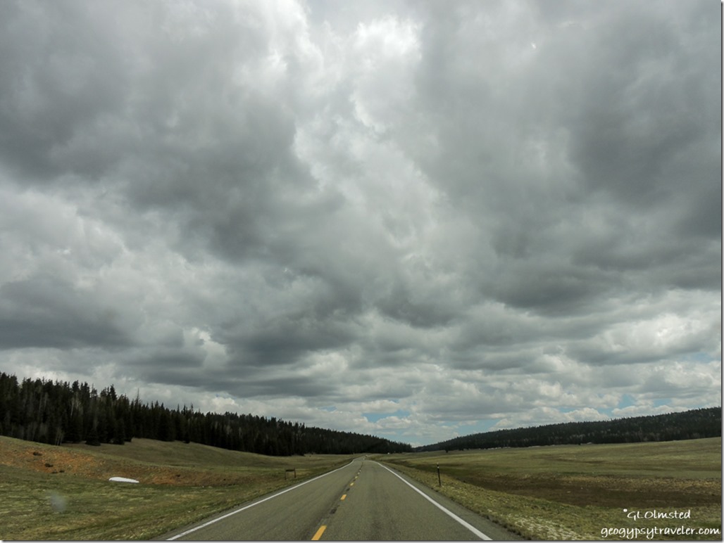 Stormy sky meadows SR67 South Kaibab National Forest Arizona