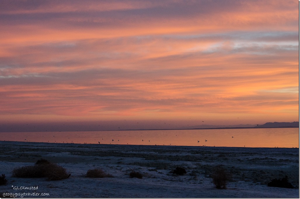 Sunset Corvina Beach Salton Sea State Recreation Area California