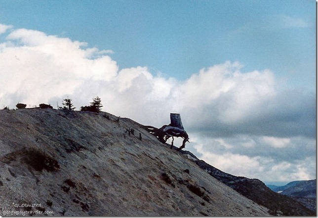 Blast zone Mount St Helens National Volcanic Monument Washington