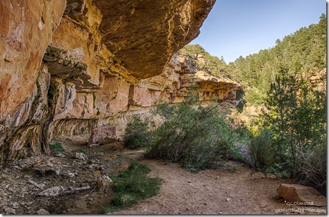 spring Cliff Spring trail North Rim Grand Canyon National Park Arizona