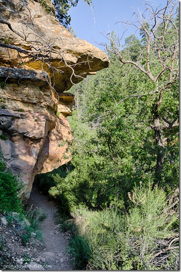 Cliff Spring trail North Rim Grand Canyon National Park Arizona