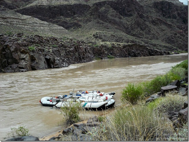 Rafts tied by The Ross Wheeler ~RM108.4 Colorado River trip Grand Canyon National Park Arizona