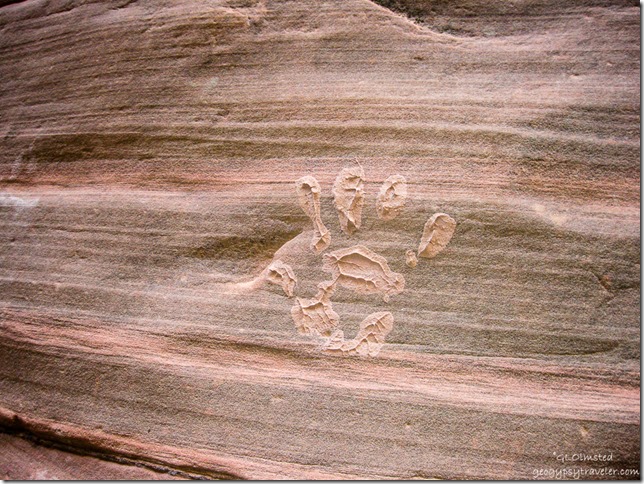 Clay handprint Buckskin Gulch slot canyon trail Utah