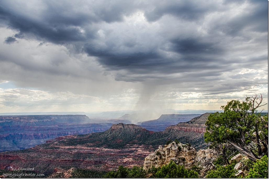 storm from Crazy Jug Point Kaibab National Forest Arizona
