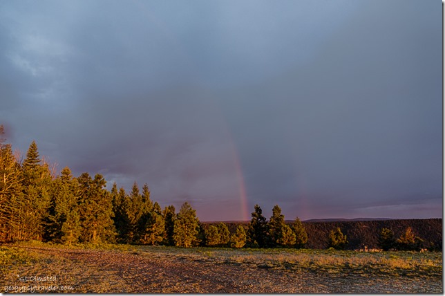 rainbow Marble View Kaibab National Forest Arizona