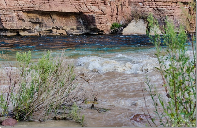 muddy Paria River flows into Colorado River below Lee's Ferry Glen Canyon National Recreation Area Arizona