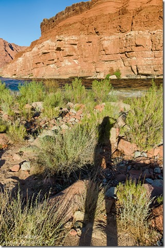 Gaelyn's shadow Colorado River cliffs below Lee's Ferry Glen Canyon National Recreation Area Arizona