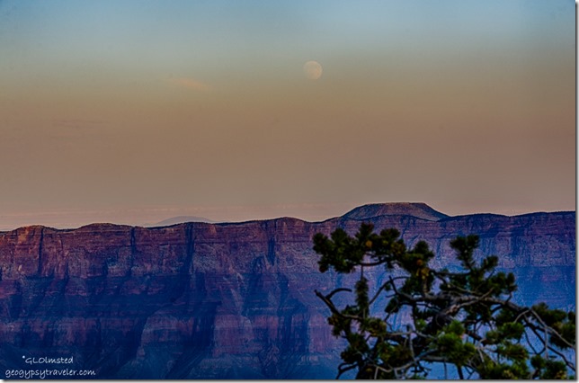 moon rise from Cape Royal North Rim Grand Canyon National Park Arizona