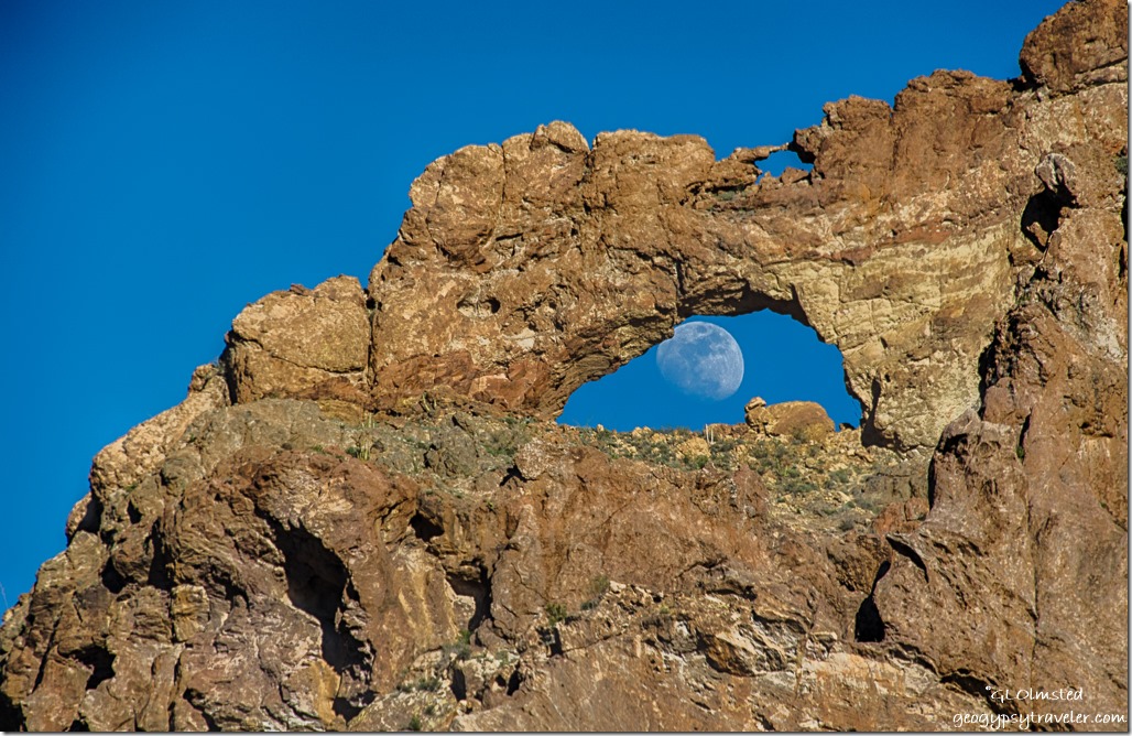 Moon thru arch Ajo Mountain Drive Organ Pipe Cactus National Monument Arizona