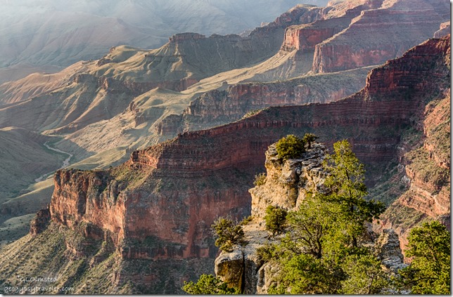 inner canyon Walhalla overlook Cape Royal Road North Rim Grand Canyon National Park Arizona
