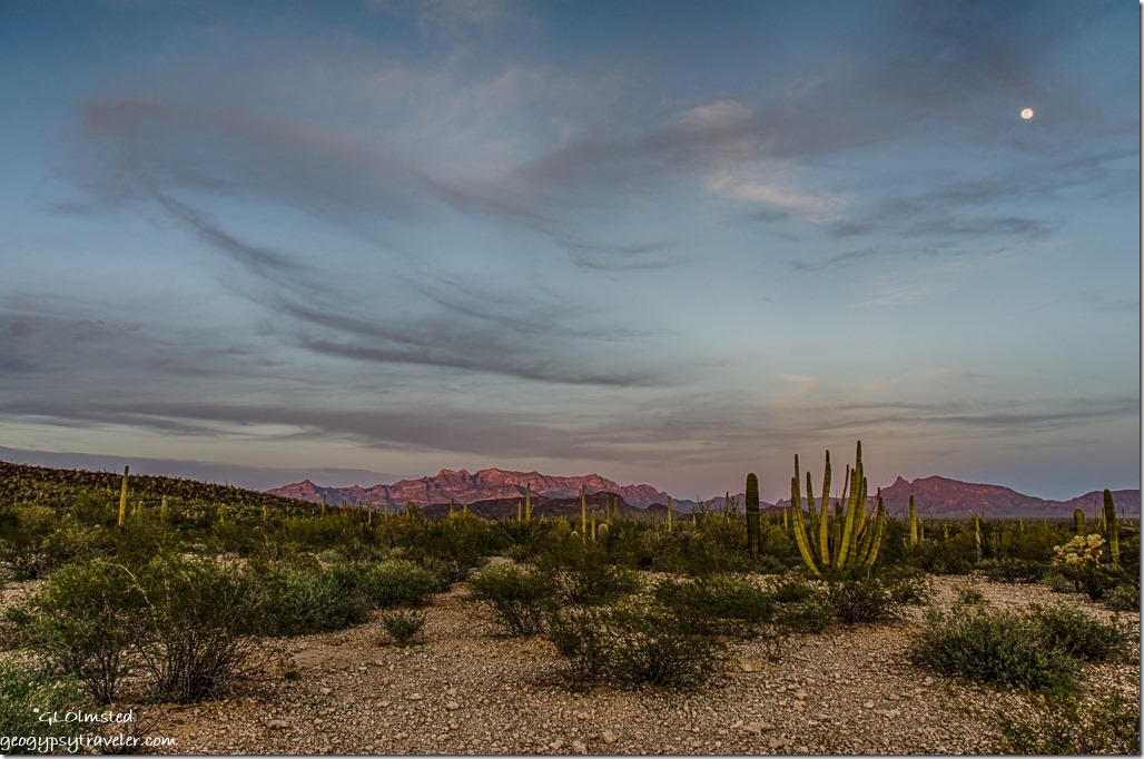 Sunset light Ajo Range & moon Organ Pipe Cactus National Monument Arizona