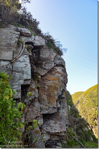 Rock bluff along Suspension Bridge trail at Storms River Mouth Tsitsikamma National Park South Africa