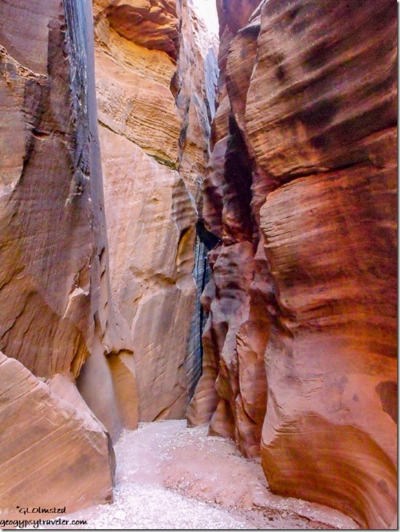 Wire Pass slot canyon entrance from junction Buckskin Gulch & Wire Pass slot canyons Grand Staircase-Escalante National Monument Utah