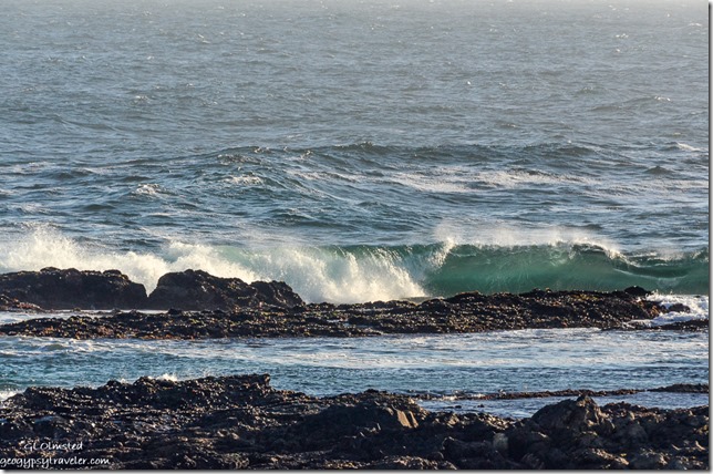 Crashing waves on rocky coast Indian Ocean Tsitsikamma National Park South Africa