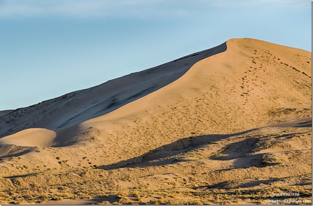 morning light Kelso Dunes Mojave National Preserve California