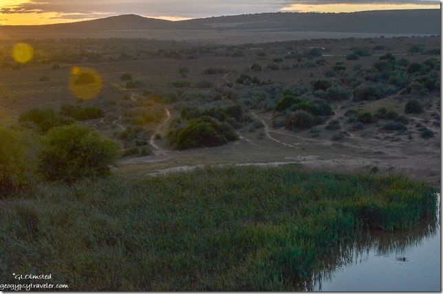Sunrise at dam Addo Elephant National Park South Africa
