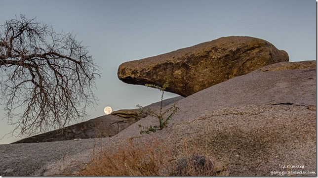 boulders tree Weaver Mountains full moon set Yarnell Arizona