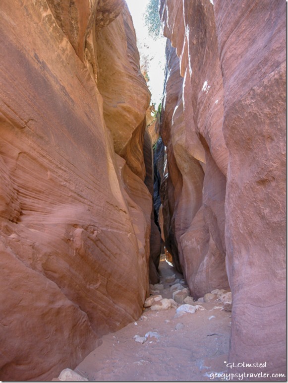 Slot canyon trail to Buckskin Gulch Utah