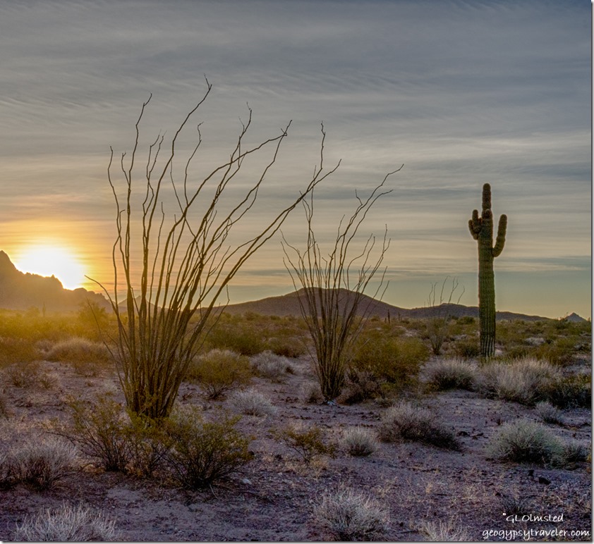 desert sunrise Kofa Mountains Kofa NWR Arizona