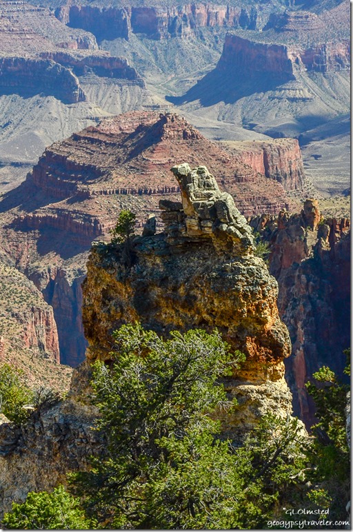 Rocky canyon view Walhalla Plateau North Rim Grand Canyon National Park Arizona