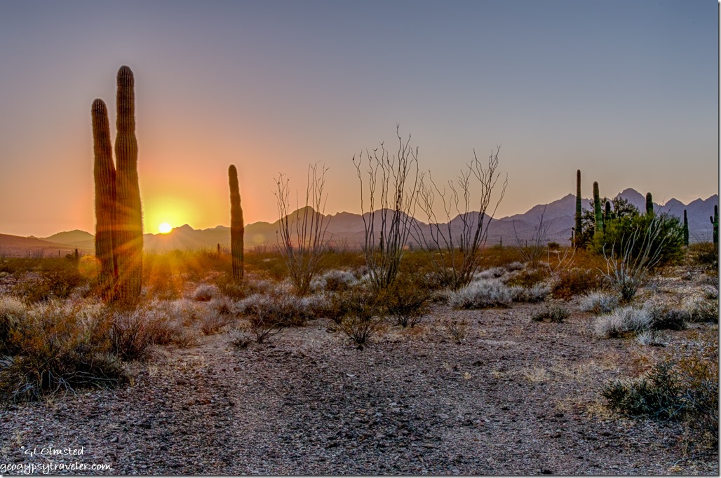 saguaros ocotillos Chocolate Mountains sunset sunrays King Valley Road Kofa National Wildlife Refuge Arizona