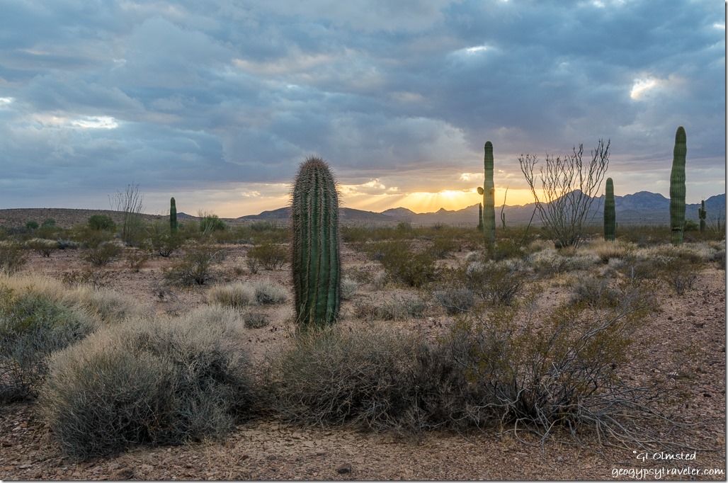 Sonoran Desert Chocolate Mountains storm clouds sunset sunrays King Valley Kofa National Wildlife Refuge Arizona