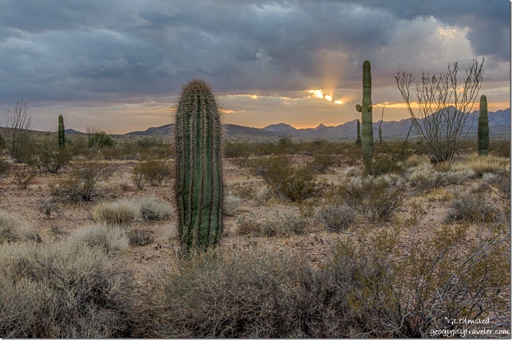 Sonoran Desert Chocolate Mountains storm clouds sunset sunrays King Valley Kofa National Wildlife Refuge Arizona