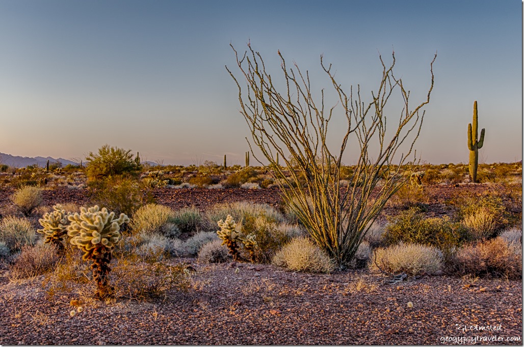 sunset desert Kofa NWR Arizona