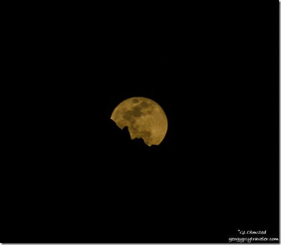 almost full moon Kofa National Wildlife Refuge Arizona