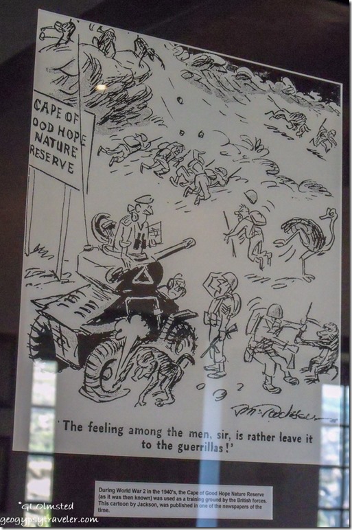 WWII cartoon at Visitor Center Cape of Good Hope Table Mountain National Park Cape Peninsula South Africa