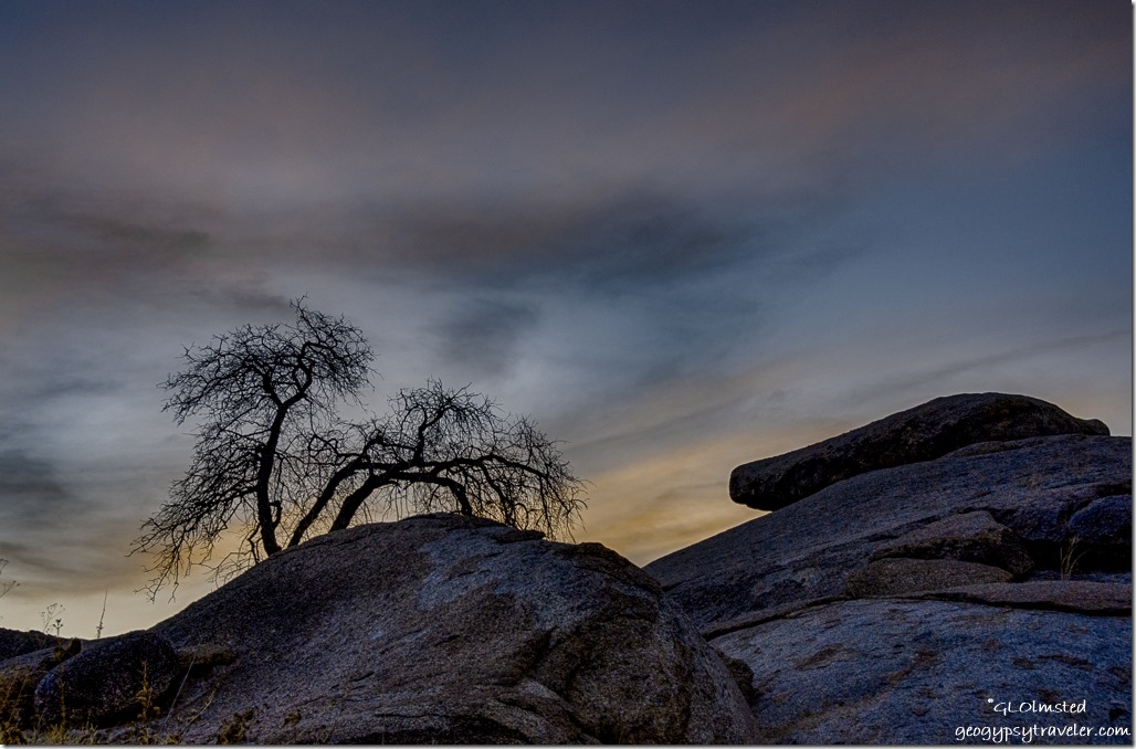 tree boulders sunset Yarnell Arizona