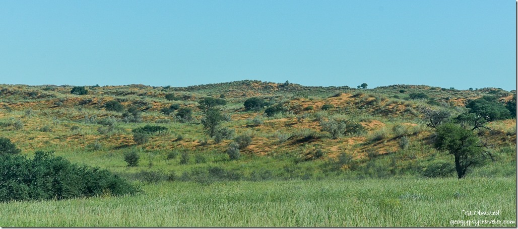 View Kgalagadi Transfrontier Park South Africa