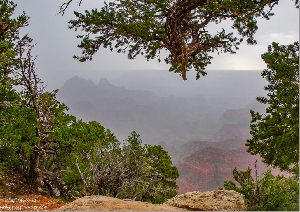 Fog over canyon from Bright Angel Point trail North Rim Grand Canyon National Park Arizona