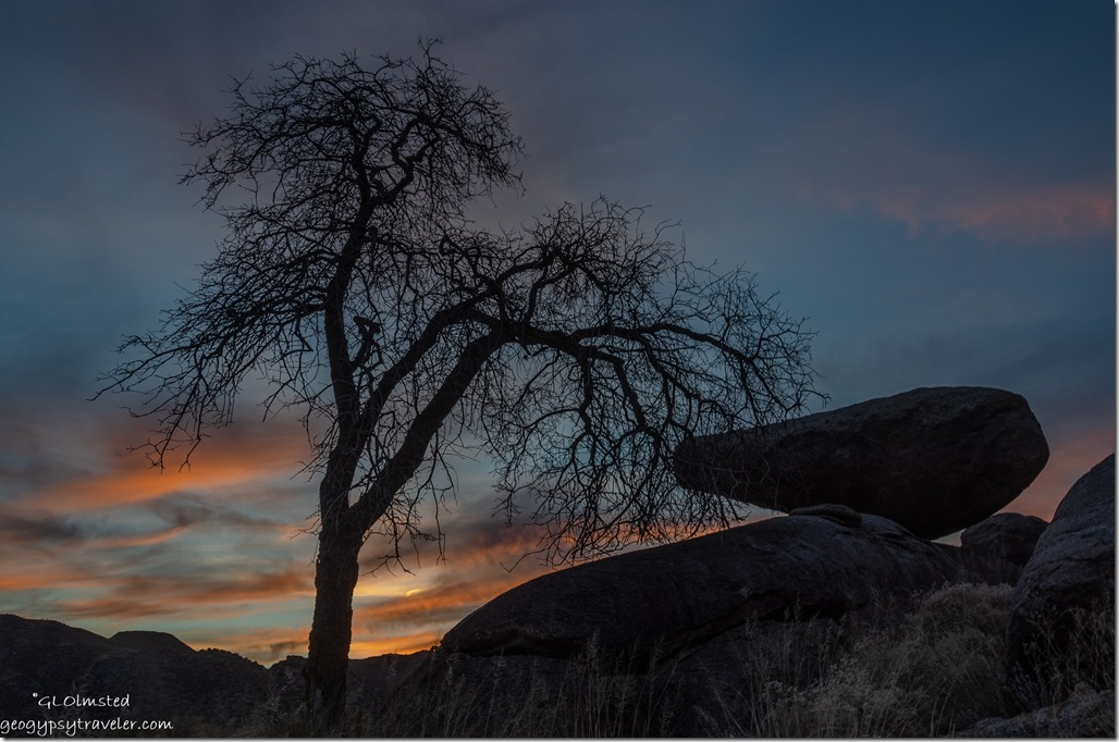 tree boulders sunset Yarnell Arizona