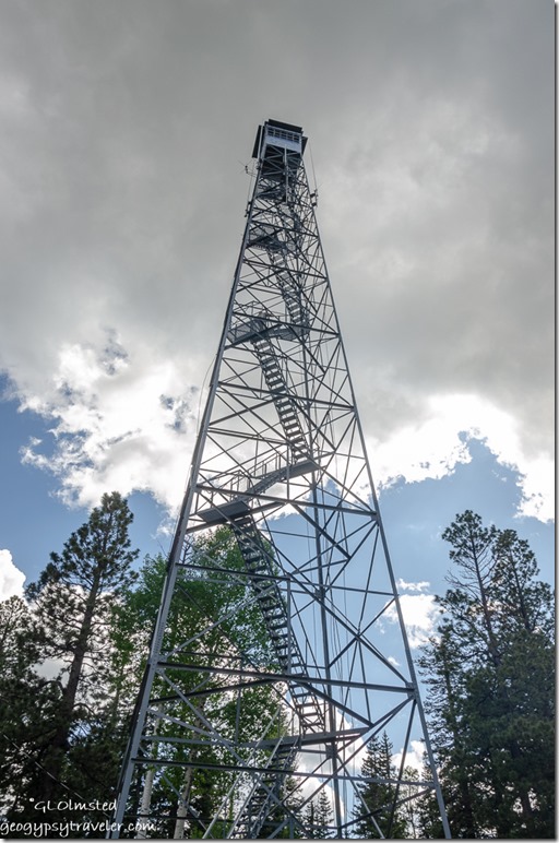 Dry Park fire tower Kaibab National Forest Arizona