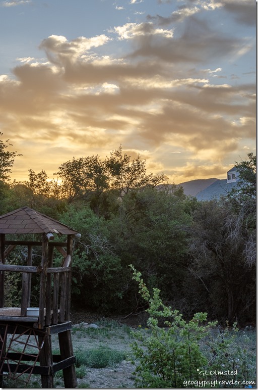 Berta's yard sunrise Yarnell Arizona