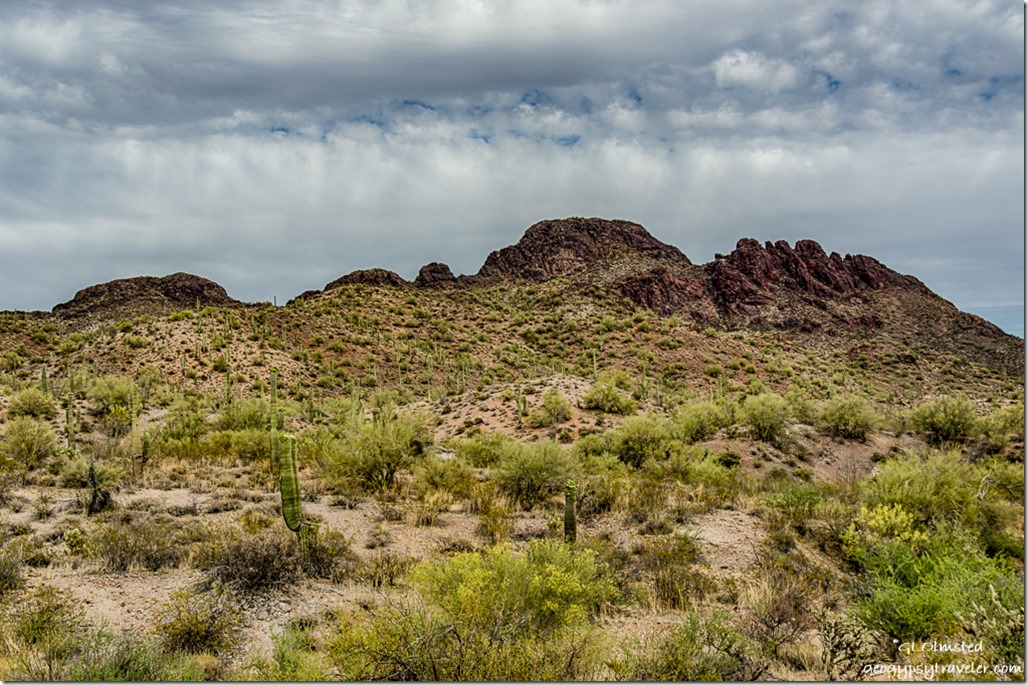 desert cactus rocky outcrop Vulture Mine Road Wickenburg Arizona