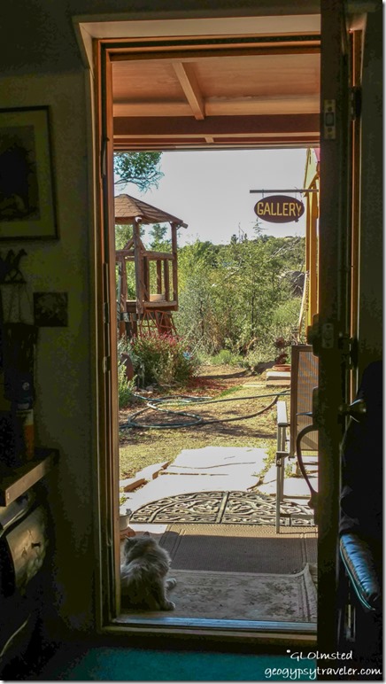 Sierra cat doorway view Yarnell Arizona